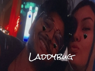 Laddybug