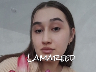 Lamareed