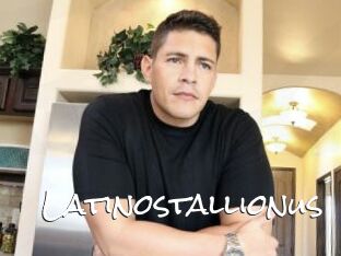 Latinostallionus