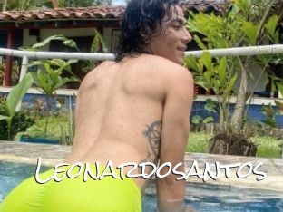 Leonardosantos