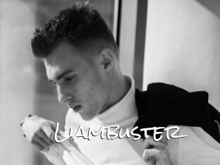 Liambuster