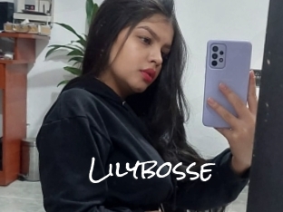 Lilybosse