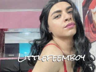 Littlefeemboy