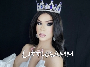 Littlesamm