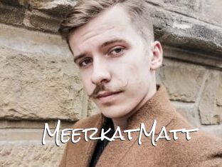 MeerkatMatt