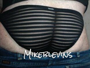 Mikeblevins
