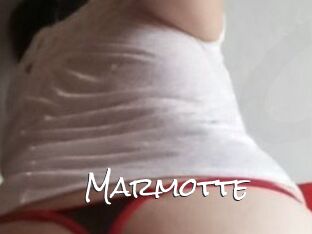 Marmotte