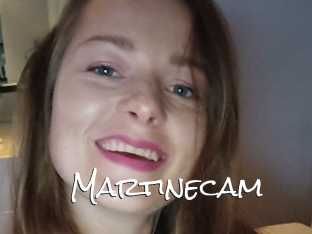 Martinecam