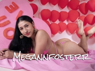 Megannfosterr