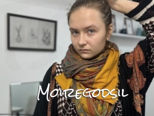 Moiregodsil