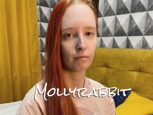 Mollyrabbit