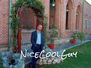 NiceCoolGuy