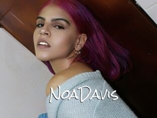 NoaDavis