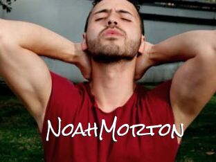 NoahMorton