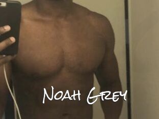 Noah_Grey