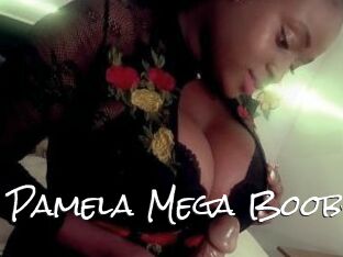 Pamela_Mega_Boobs