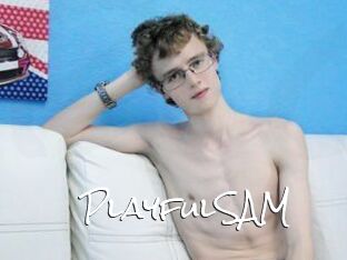 PlayfulSAM