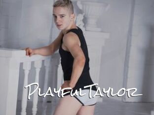 PlayfulTaylor