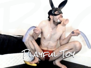 Playful_Toy