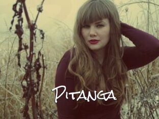 Pitanga