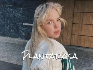 Plantarosa