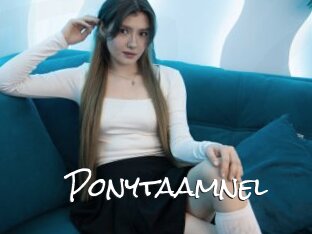 Ponytaamnel