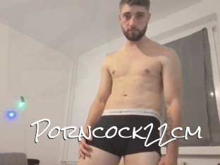 Porncock22cm