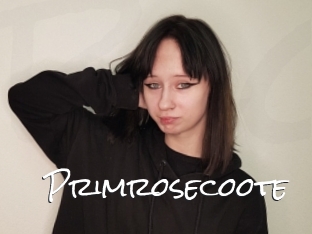 Primrosecoote