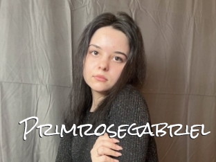 Primrosegabriel