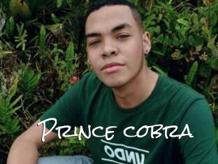 Prince_cobra