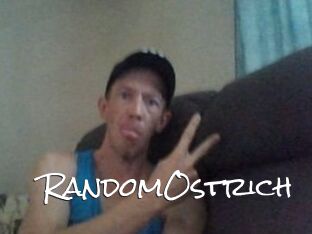 RandomOstrich
