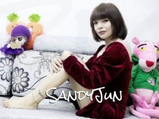 SandyJun