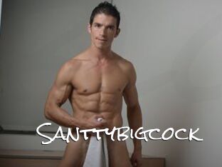 Santtybigcock