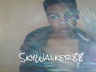 SkyWalker88