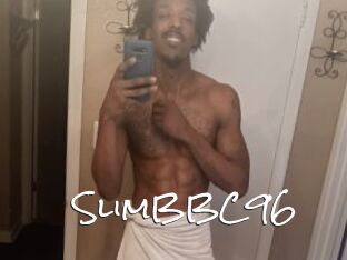 SlimBBC96