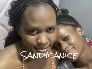 Sandycanice