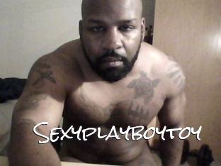 Sexyplayboytoy