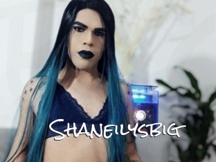 Shaneilysbig