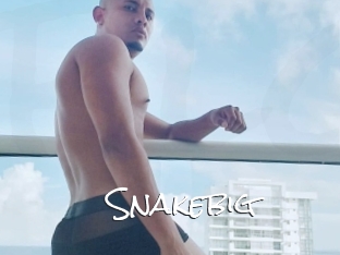 Snakebig