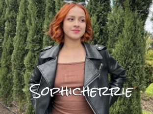 Sophicherrie