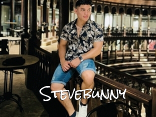 Stevebunny