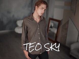 TEO_SKY