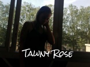 Tawny_Rose