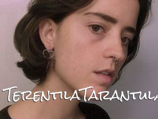 TerentilaTarantula