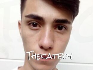 Thecatboy