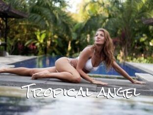 Tropical_angel