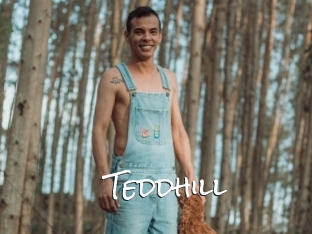 Teddhill