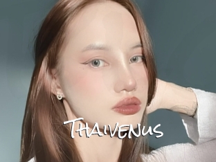 Thaivenus