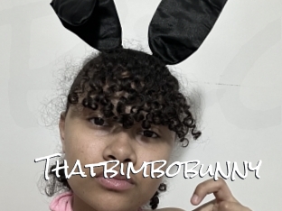 Thatbimbobunny