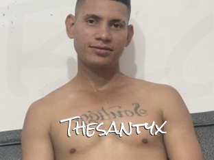 Thesantyx